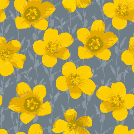 Buttercup Meadow