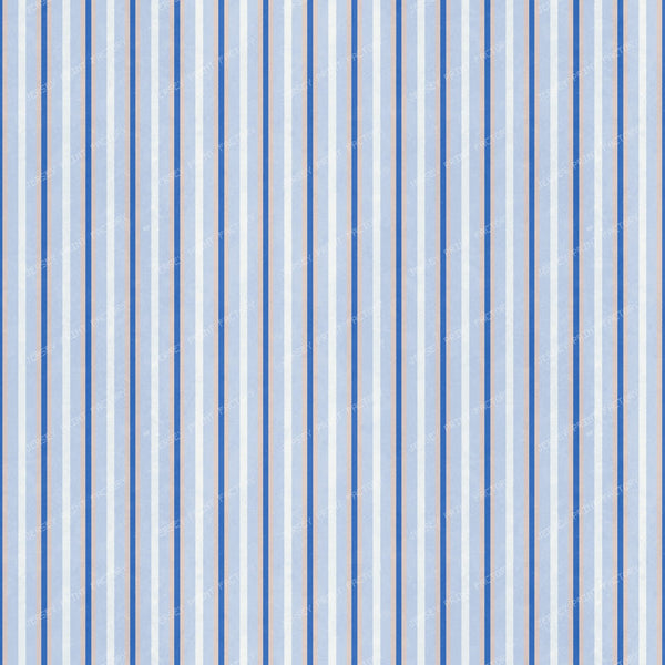 Coastal Stripe - Blue