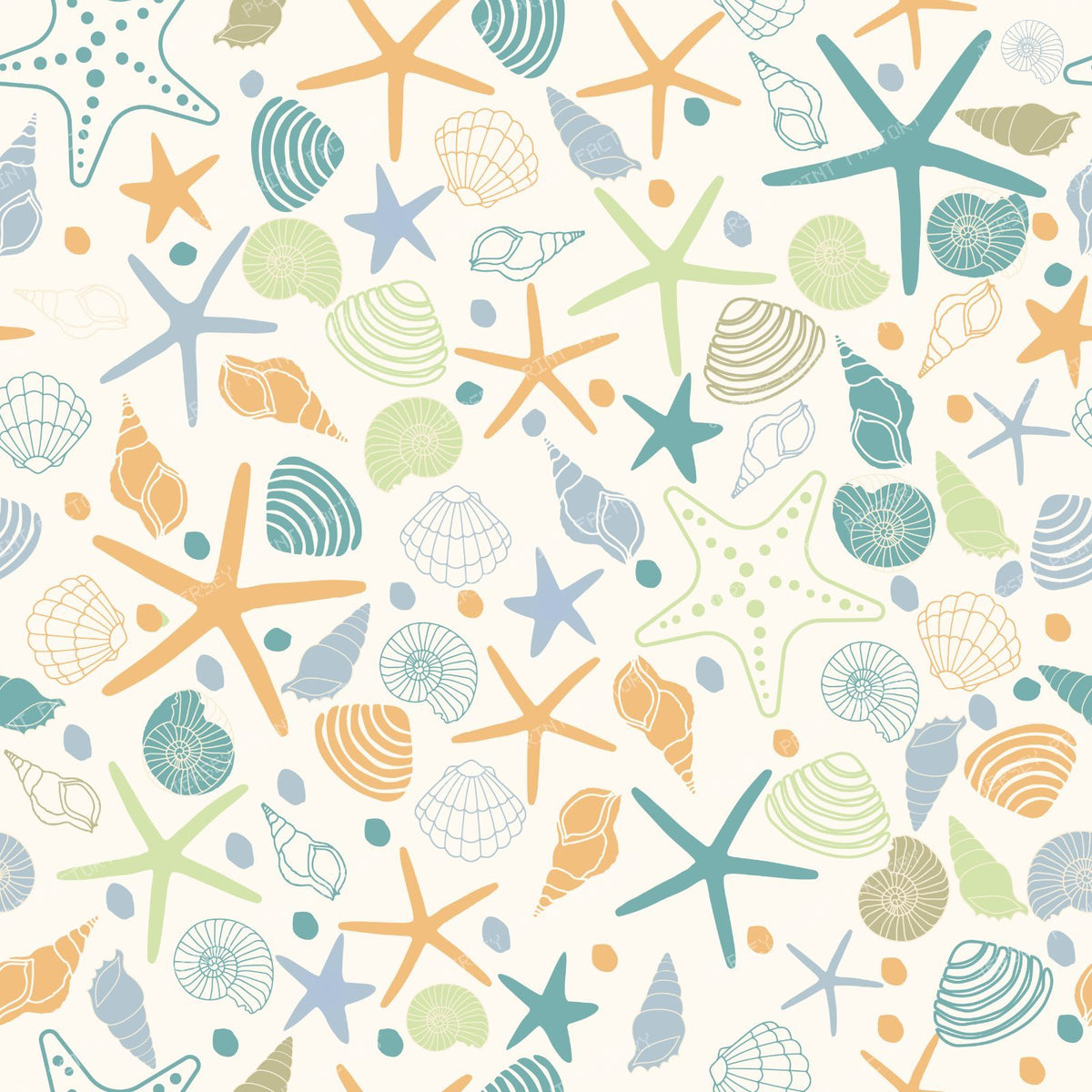 Colorful Seashells, Scallops, Conch Shells, Clam Shells, Starfish