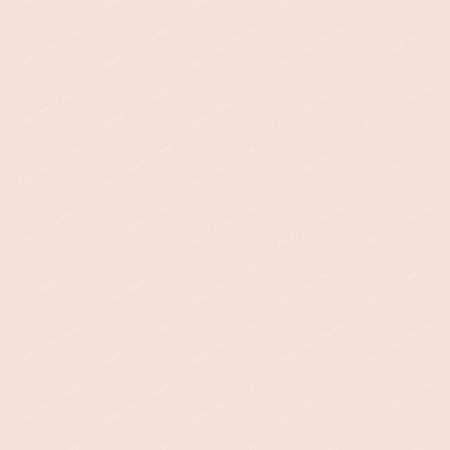 Wedding Pink Color Rose Blush Pastel Minimalist Plain Design