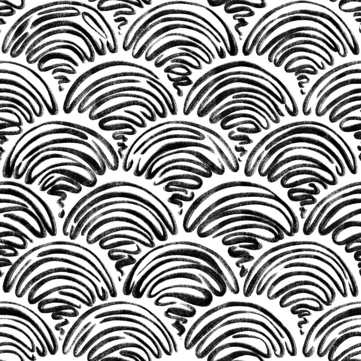 freehand scallop black on white