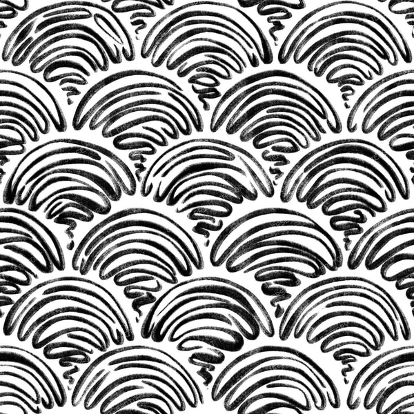 freehand scallop black on white