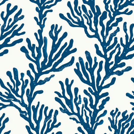 Coral Reef Marine Coastal Blue