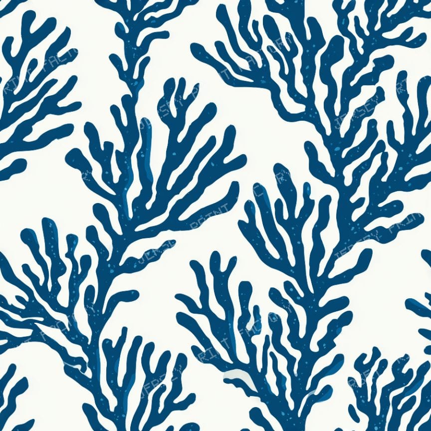 Coral Reef Marine Coastal Blue
