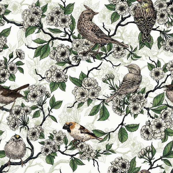 Birds and cherry blossom on white
