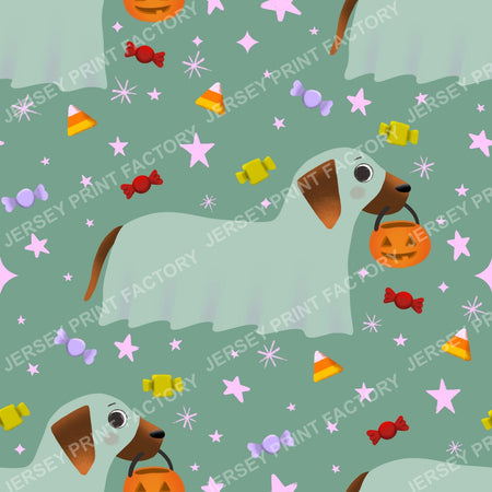 Trick Or Treat Dachshund Dog Halloweenie – Sheer Ghost On Sage