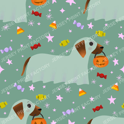 Trick Or Treat Dachshund Dog Halloweenie – Sheer Ghost On Sage
