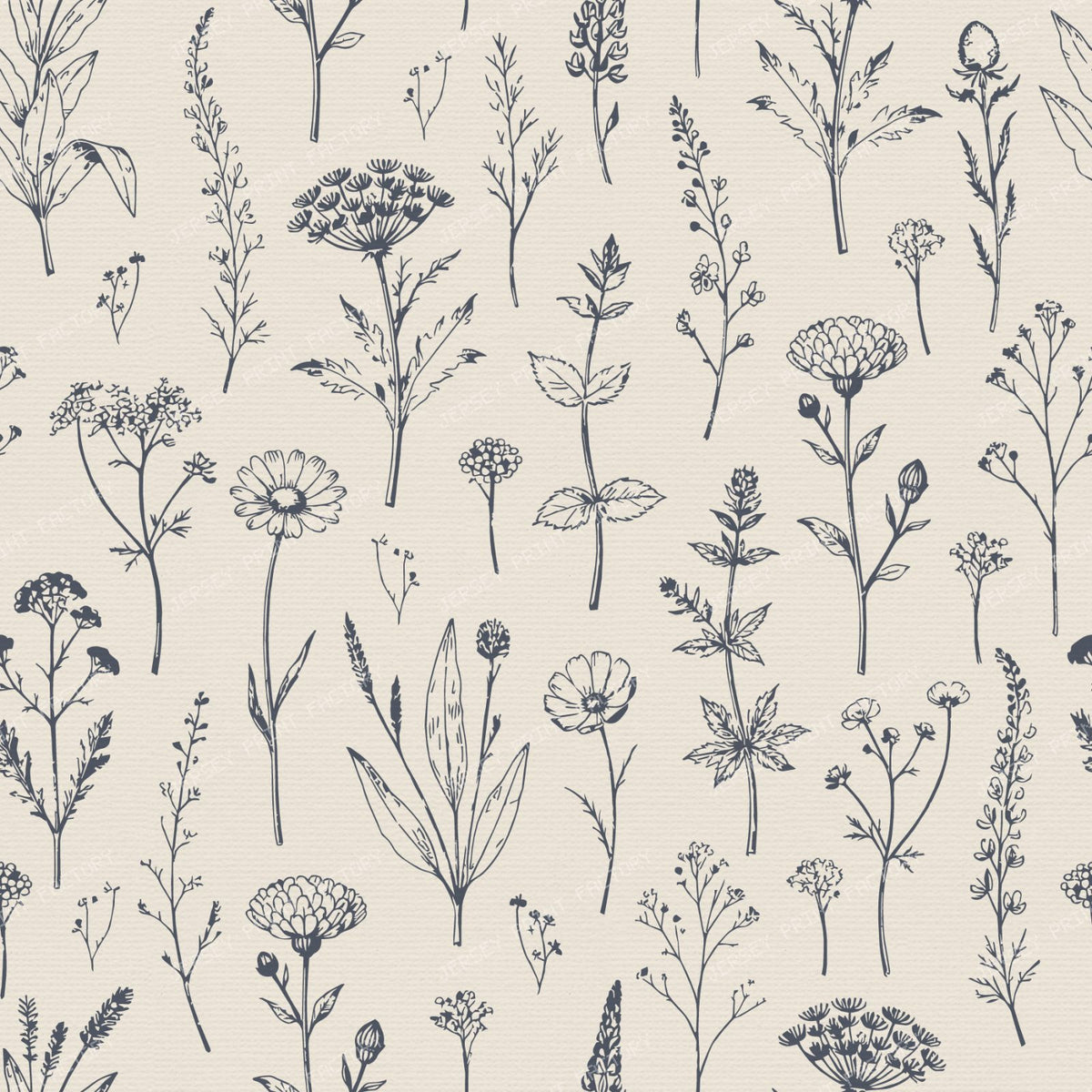 Botanical Sketch Herbarium Country Cottage Flowers - Slate & Dusty Blue — Dark Blue and Beige