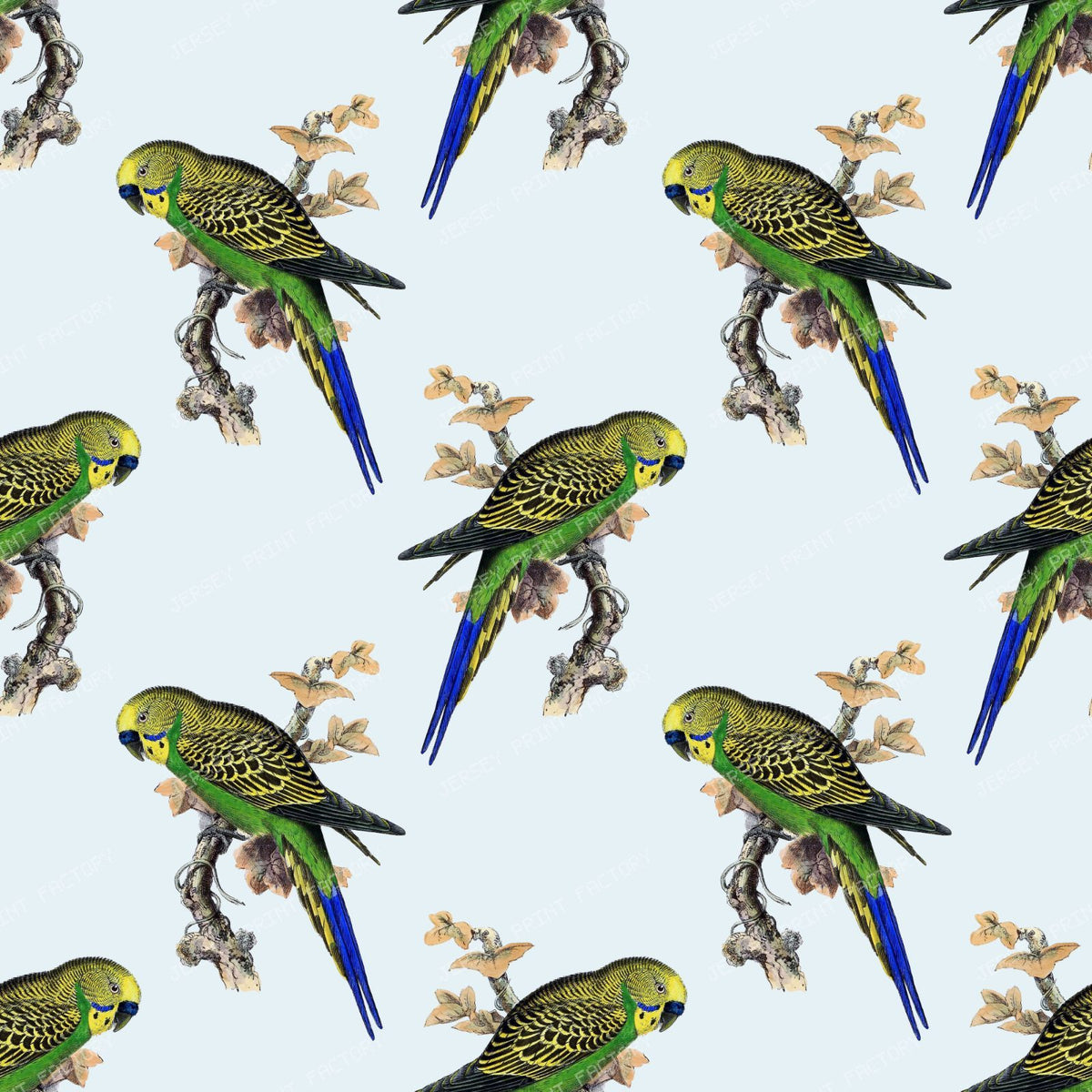 Pattern Of Parrots, Budgerigar, Parakeet, Birds, Tree Branch — Blue