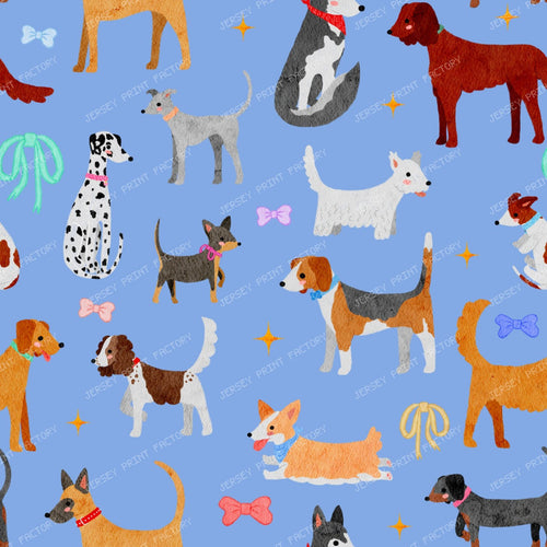 Adorable dog breeds on blue