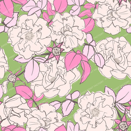 Blooming White Rose Garden