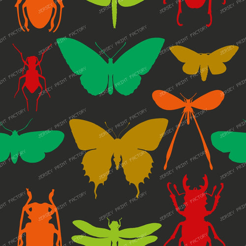 Pattern Of Insects, Butterfly, Moth, Dragonfly, Stag Beetle