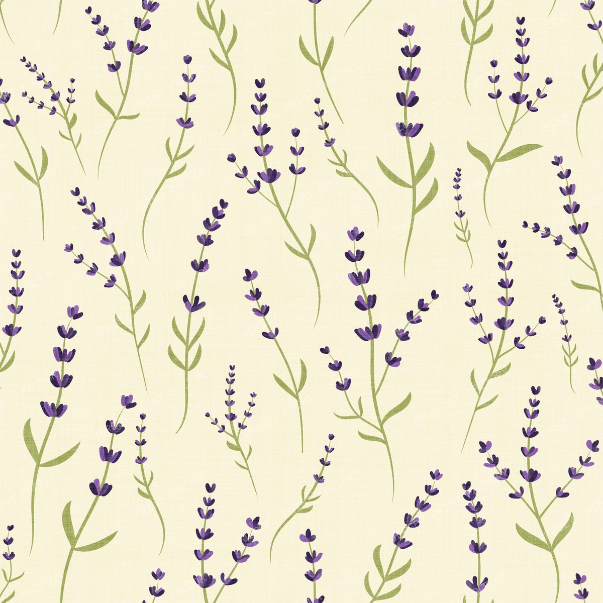 Wild Lavender Meadow Delicate Botanical Floral blue — off white