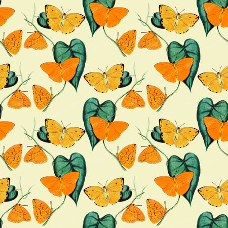 Pattern Of Butterflies, Yellow Butterfly, Orange Butterfly, Leaves