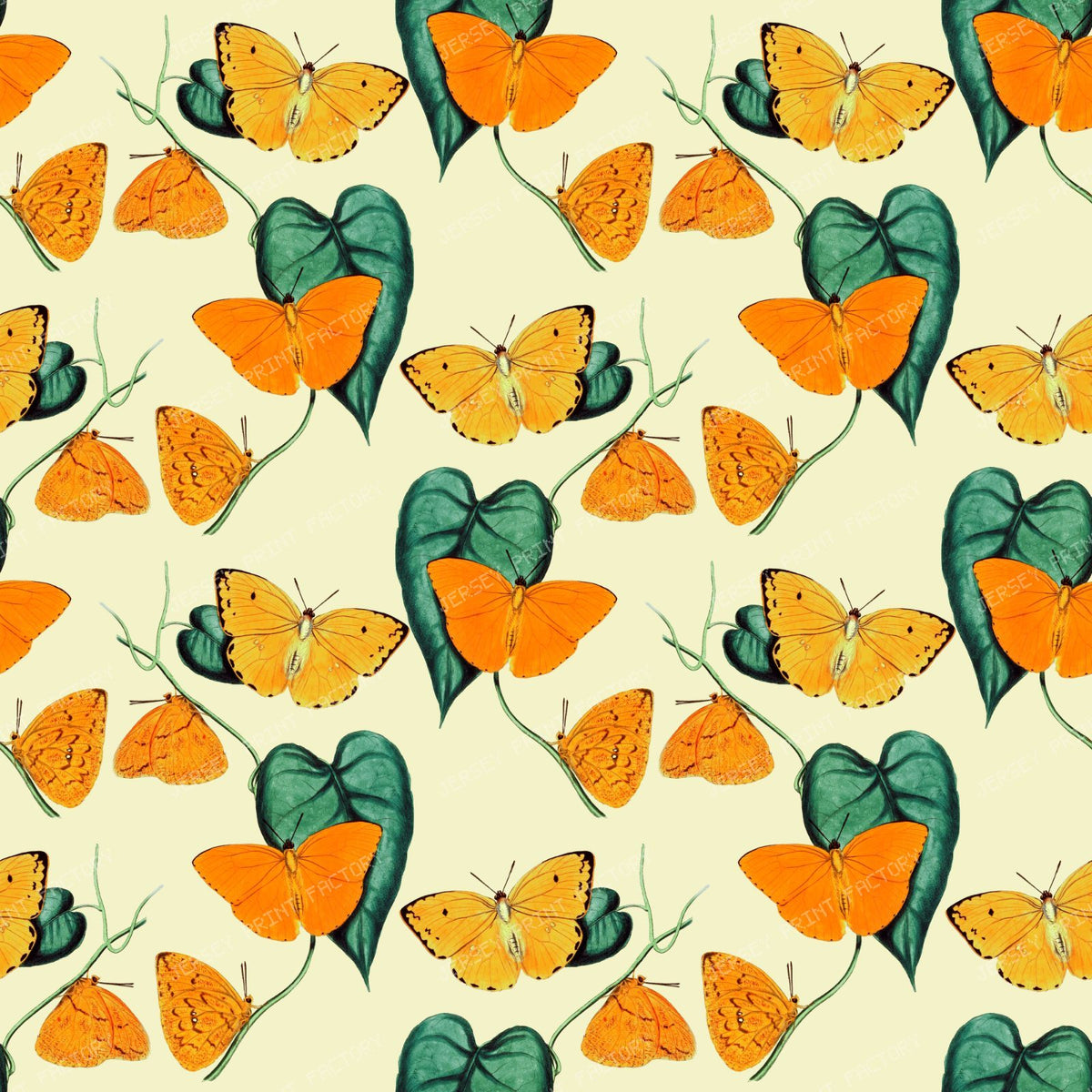 Pattern Of Butterflies, Yellow Butterfly, Orange Butterfly, Leaves
