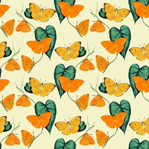Pattern Of Butterflies, Yellow Butterfly, Orange Butterfly, Leaves