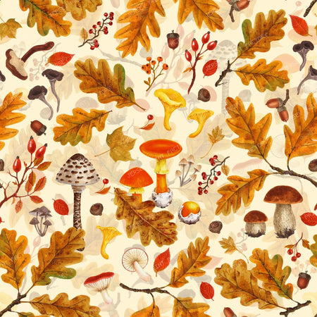 Forest mushrooms and autumn flora on brown — on cream