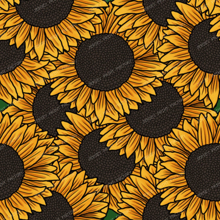 Sunflower Field