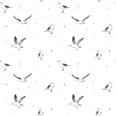Seagull