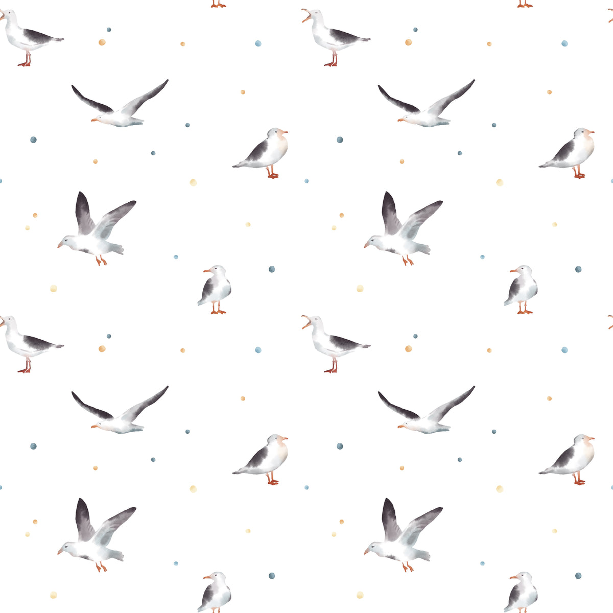 Seagull
