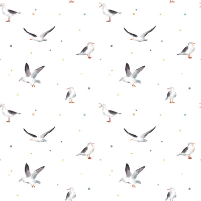 Seagull