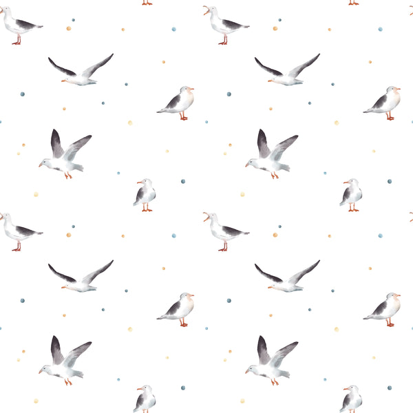 Seagull