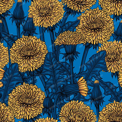 Dandelions — in blue and yellow