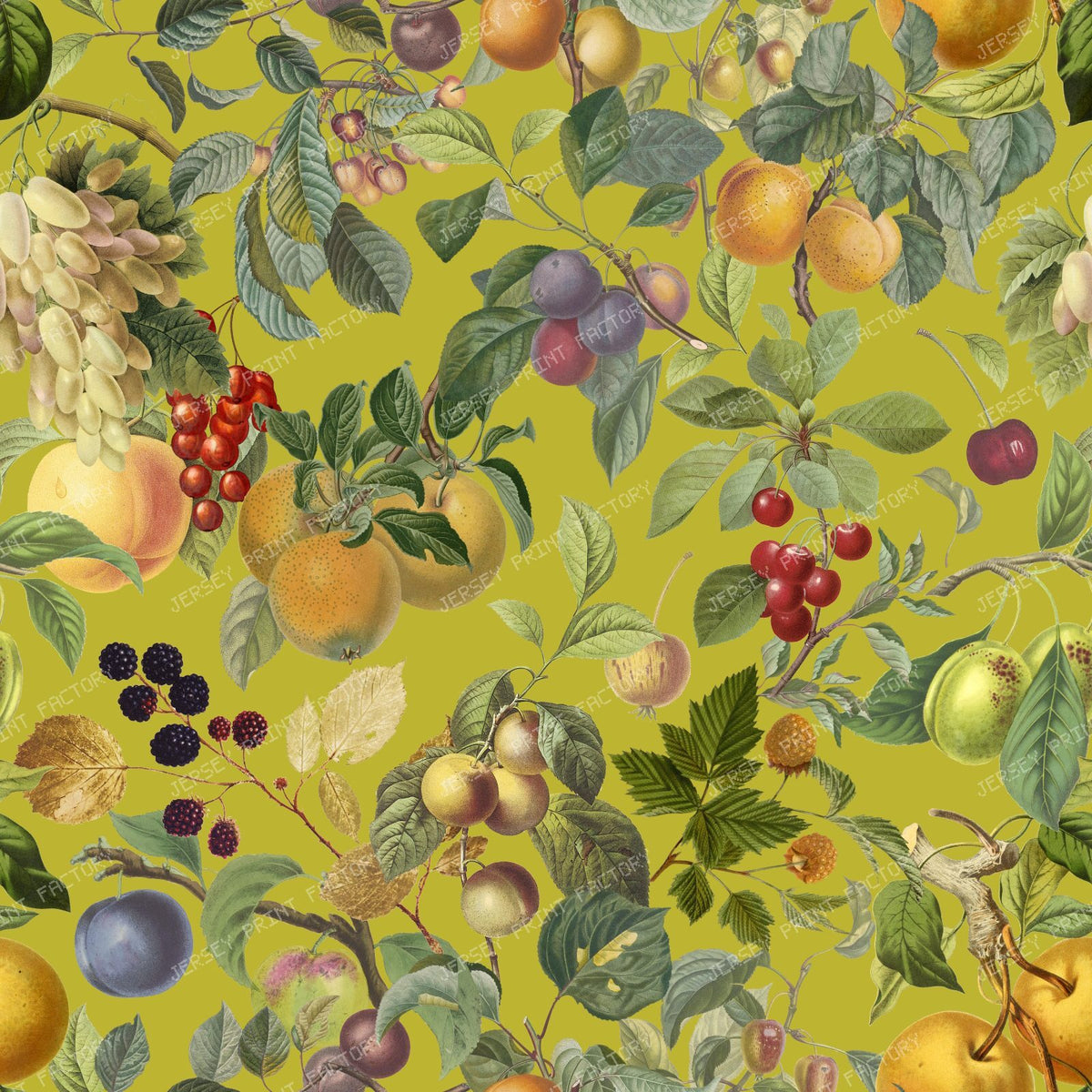 Fruit Abundant Orchard Colorful Botanical Pattern - Chartreuse