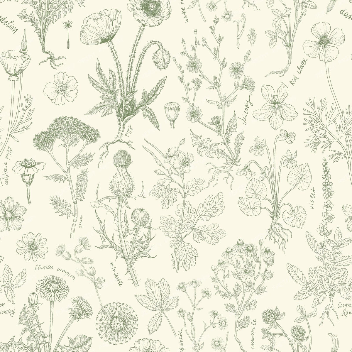 Wildflowers collage off white and sage