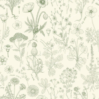 Wildflowers collage off white and sage