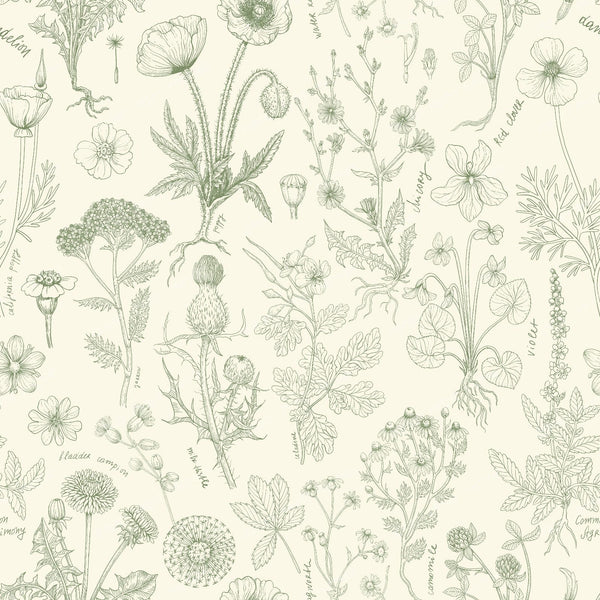 Wildflowers collage off white and sage
