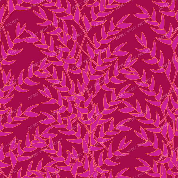 Orchid Flame