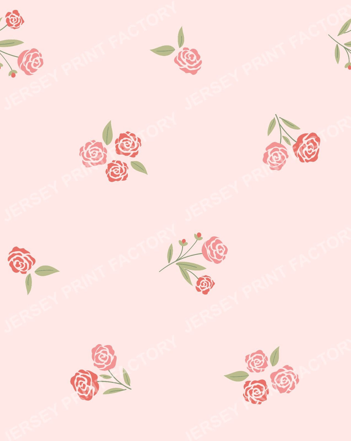 Swan Princess Collection | Minimal Roses