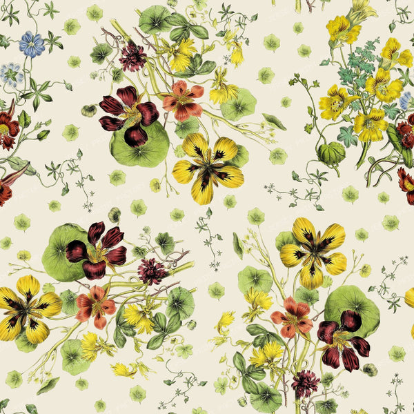 Nasturtium Bouquet Colorful Floral Pattern on Cream background