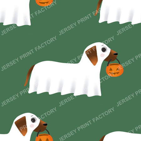 Trick Or Treat Dachshund Dog Halloweenie – Ghost Dog On Green