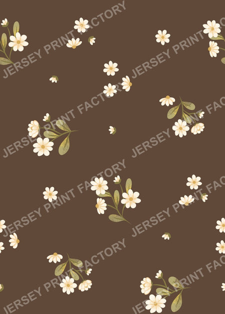 Coffe Meerkats Collection | Spring Flowers
