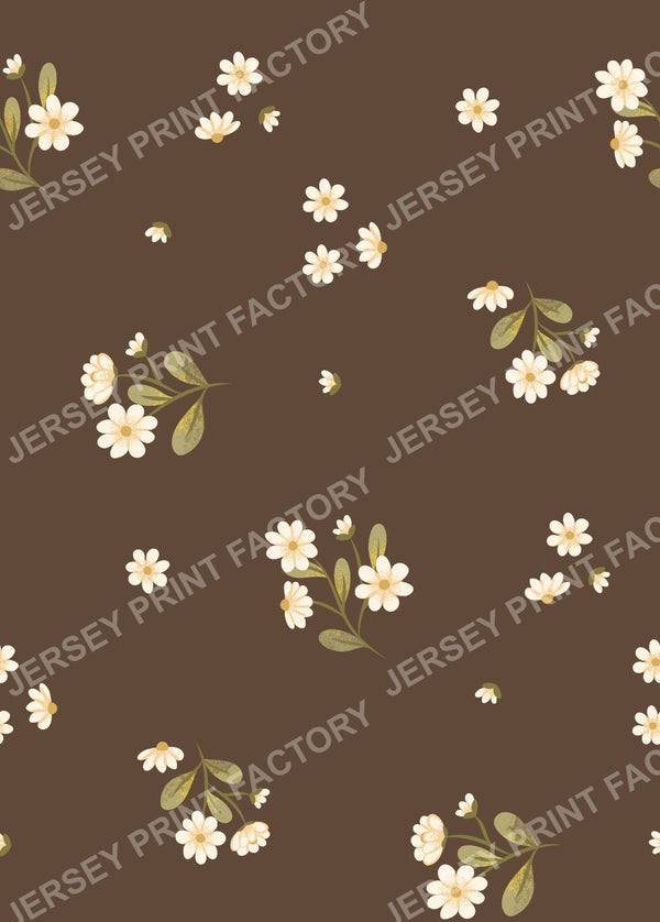 Coffe Meerkats Collection | Spring Flowers