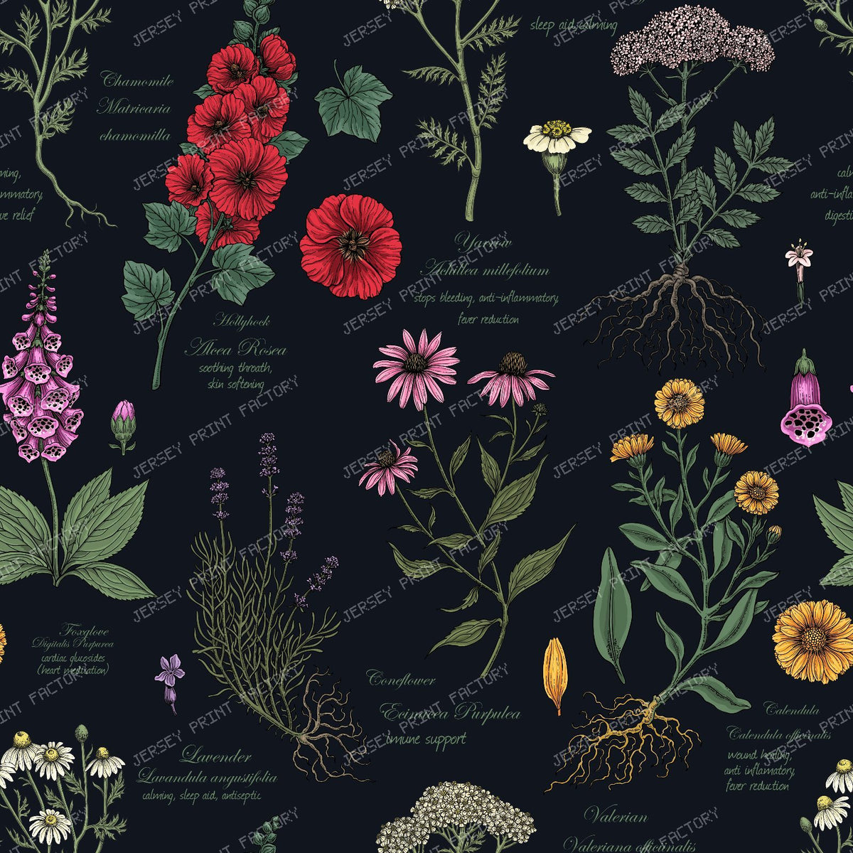 Medicinal Garden Herbarium — on black
