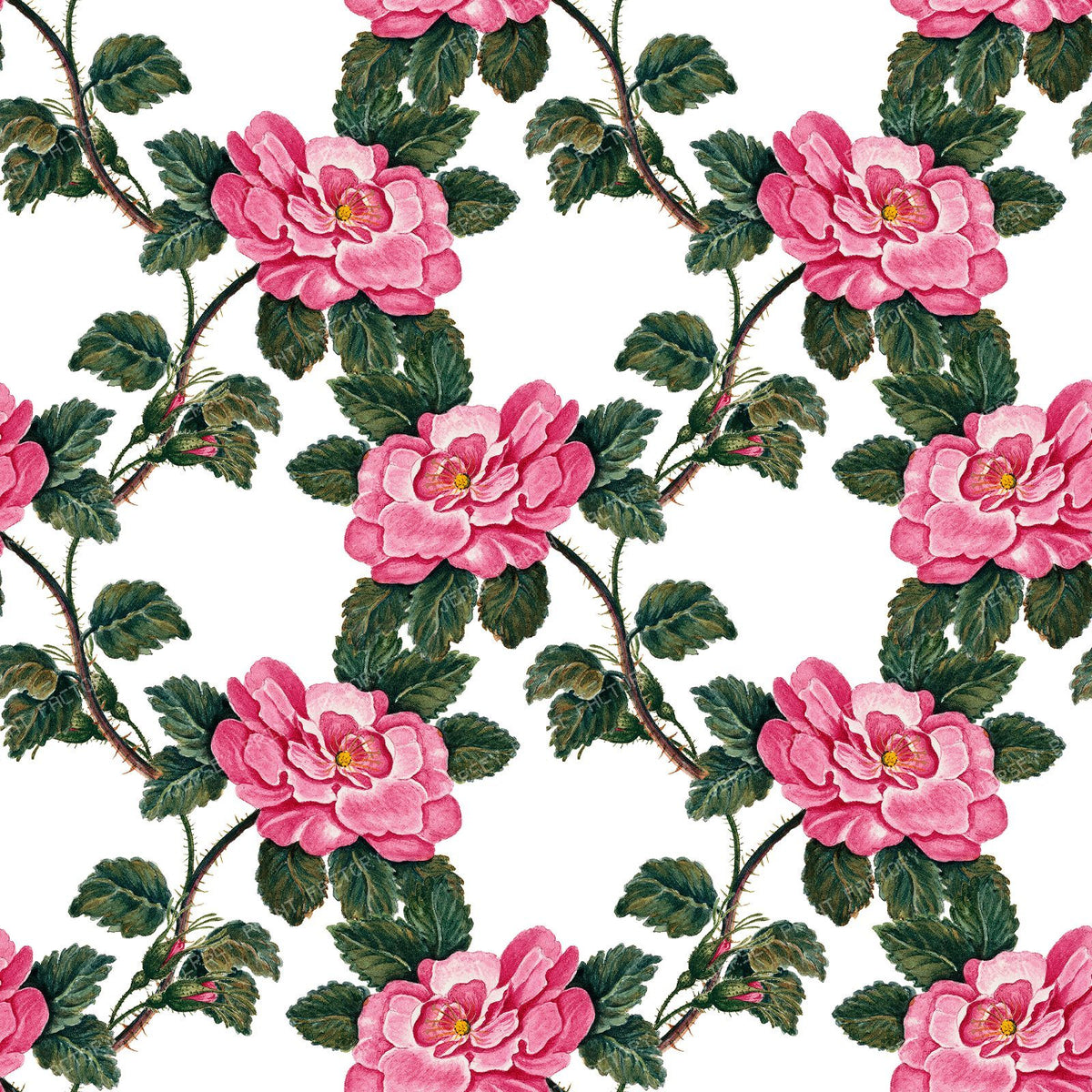 Pink Roses, Wild Roses, Pink Flowers, Floral Pattern, Boho
