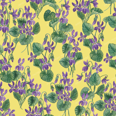 Watercolor violets on bright blue — on yellow