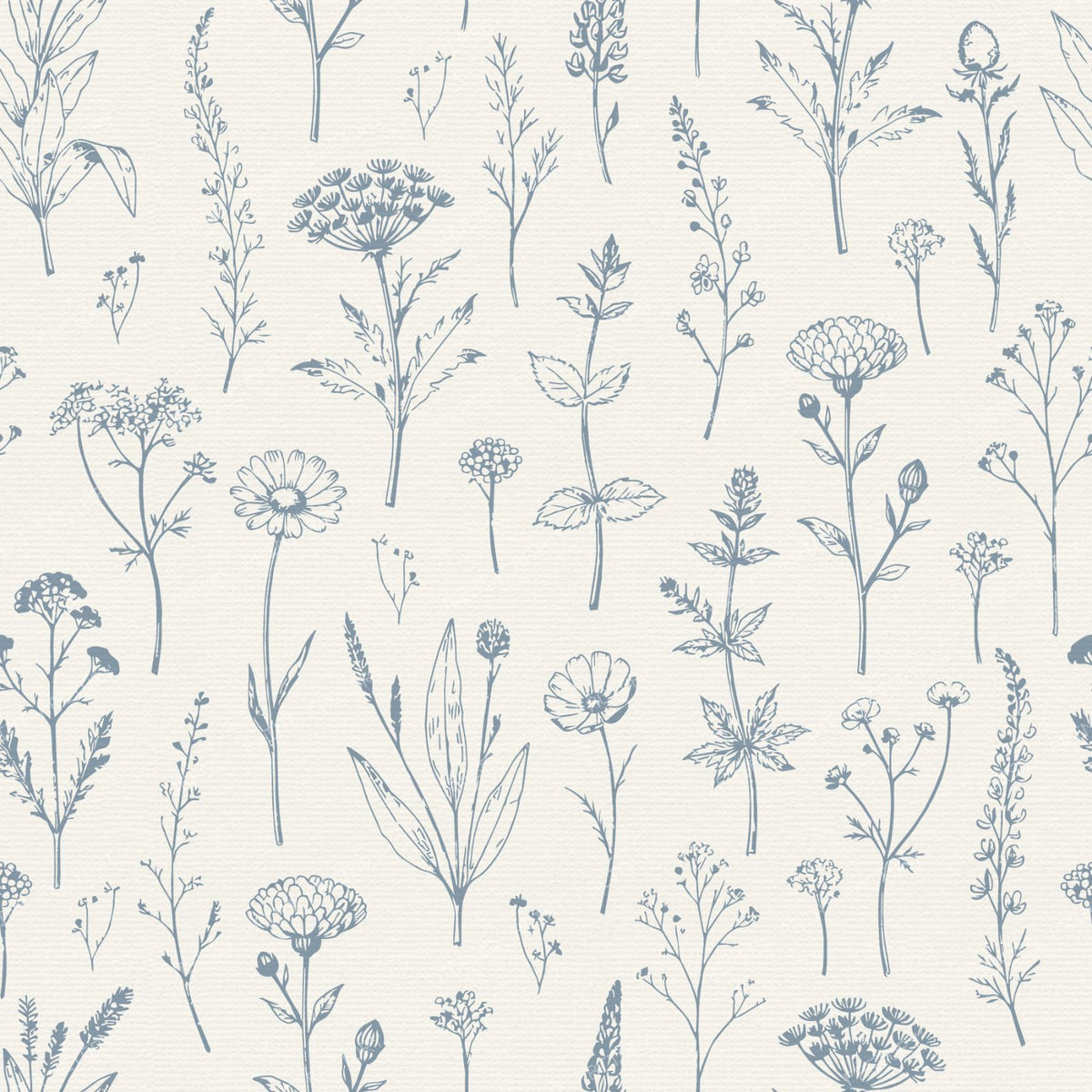 Botanical Sketch Herbarium Country Cottage Flowers - Slate & Dusty Blue — Dusty Blue and Cream