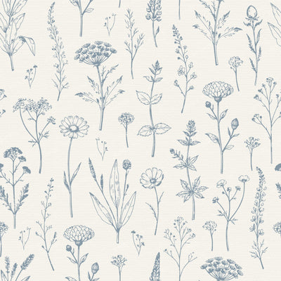 Botanical Sketch Herbarium Country Cottage Flowers - Slate & Dusty Blue — Dusty Blue and Cream