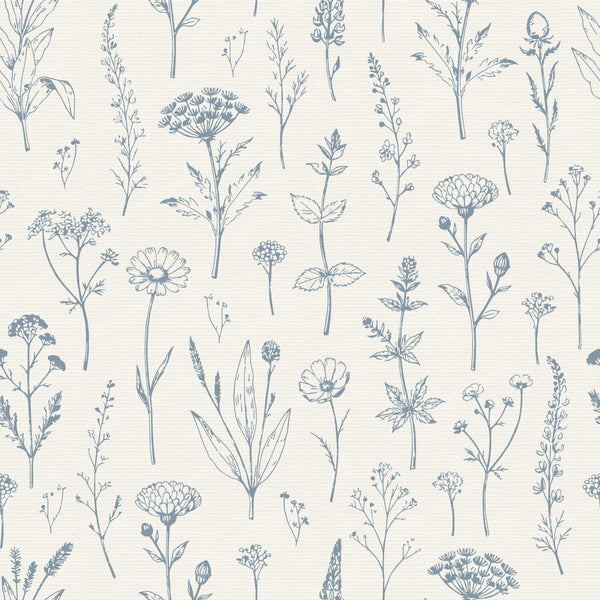 Botanical Sketch Herbarium Country Cottage Flowers - Slate & Dusty Blue — Dusty Blue and Cream