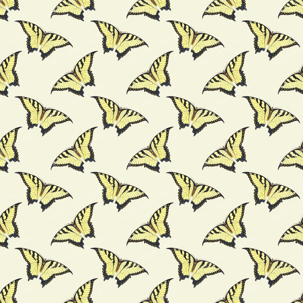 Pattern Of Butterflies, Swallowtail Butterfly, Yellow Butterfly