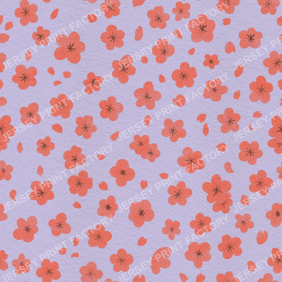 Sakura Cherry Blossom Flowers and Petals on Lilac
