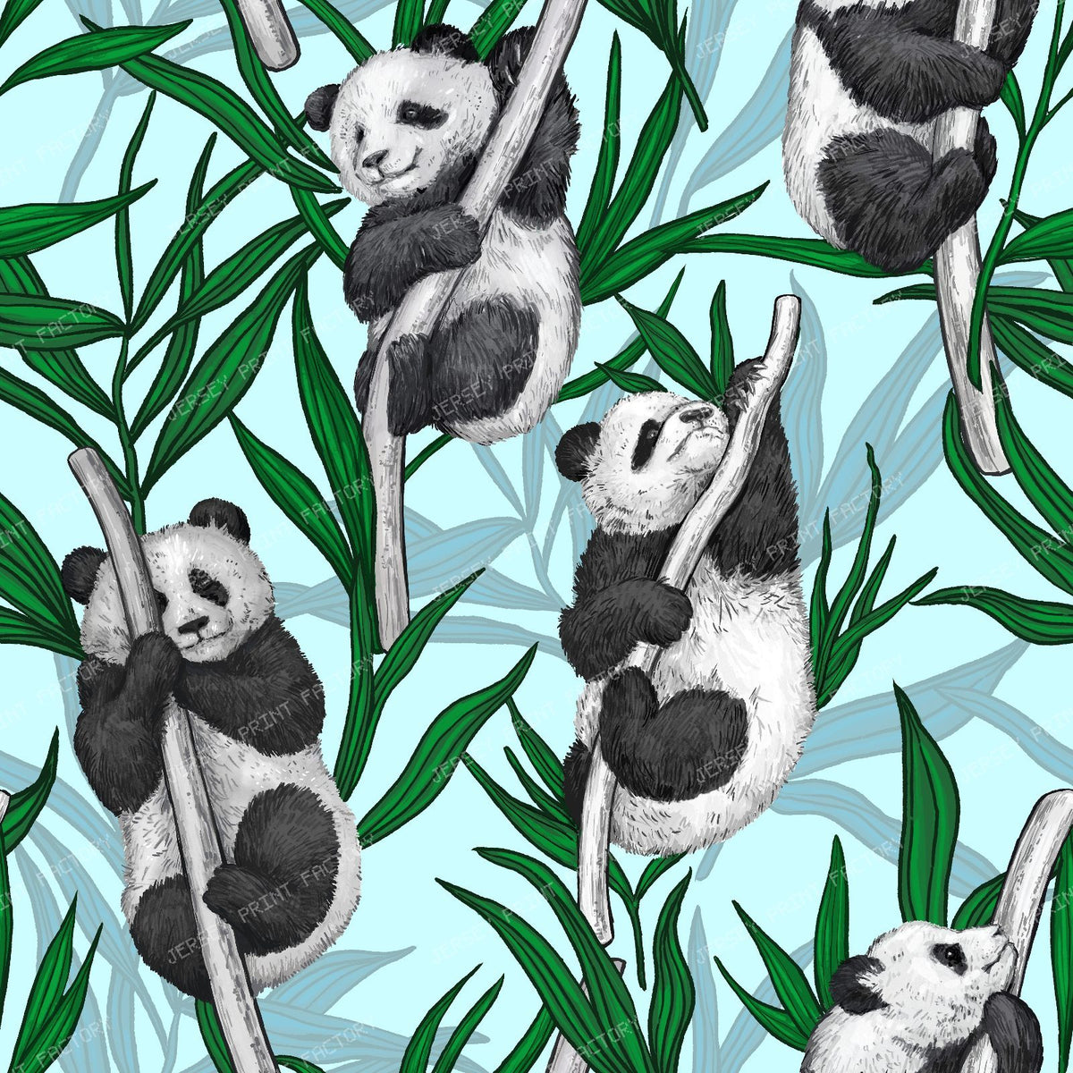 Panda Cubs