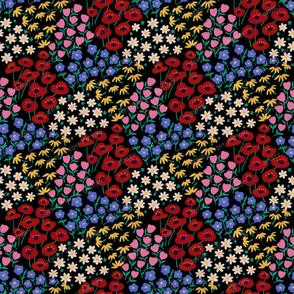 Whisper of Bloom, in the garden