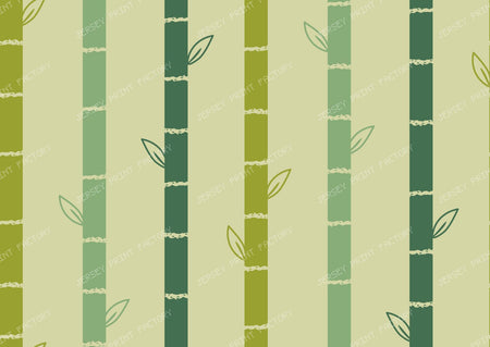 Red Panda | Bamboo