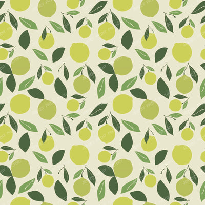 Mediterranean Limes Orchard