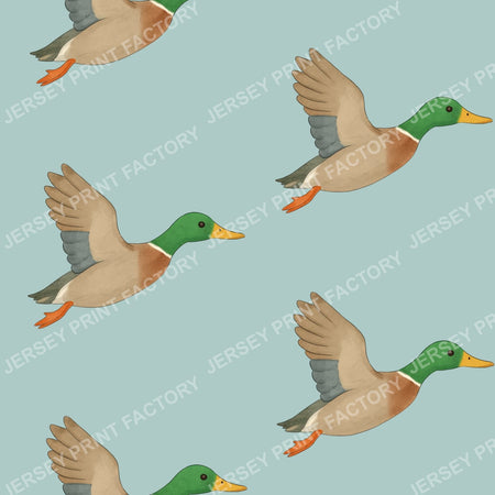 Watercolour flying ducks on Duck egg blue